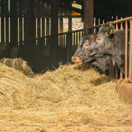 Vakantiehuis Stable Kirkby Stephen