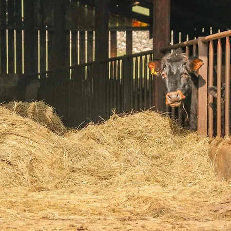 Stable Feriehus *